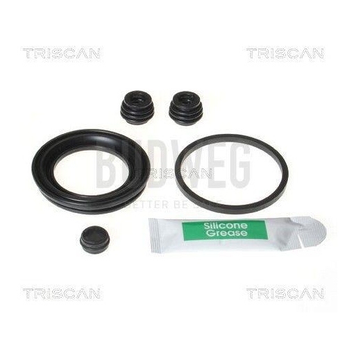 TRISCAN Reparatursatz, Bremssattel