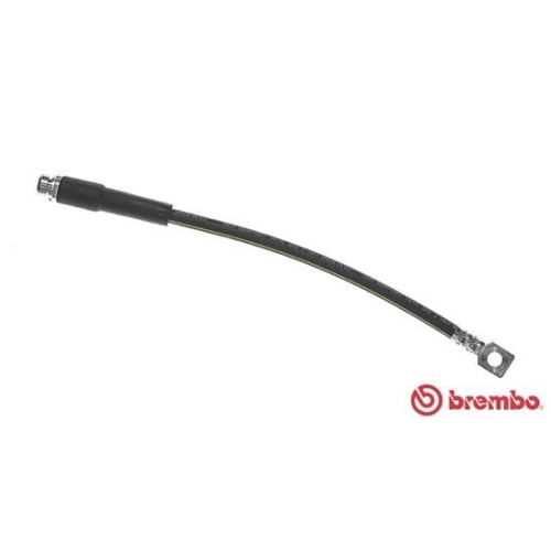 BREMBO Bremsschlauch ESSENTIAL LINE