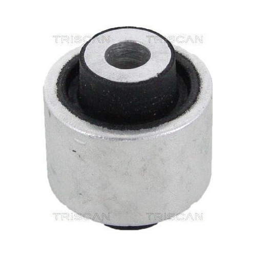 TRISCAN Lagerung, Lenker