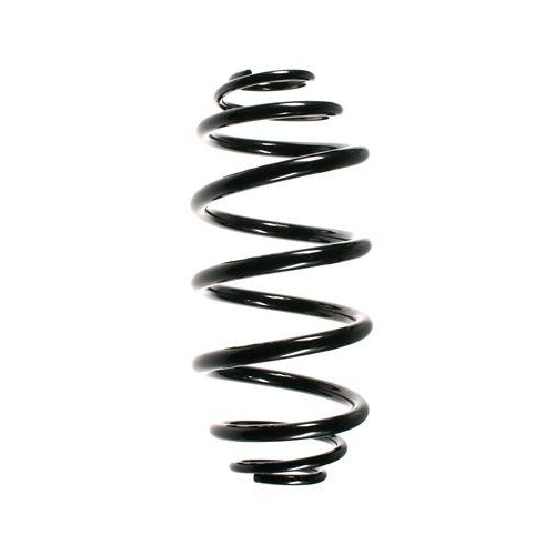 SPIDAN Fahrwerksfeder