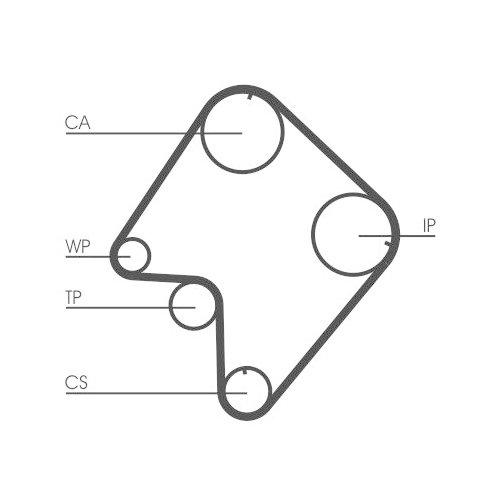 CONTINENTAL CTAM Zahnriemen