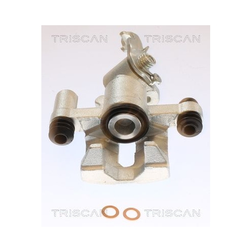 TRISCAN Bremssattel