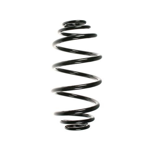 SPIDAN Fahrwerksfeder