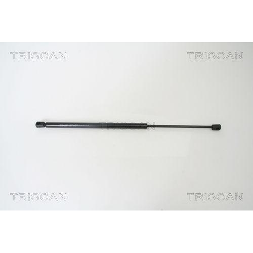 TRISCAN Gasfeder, Koffer-/Laderaum