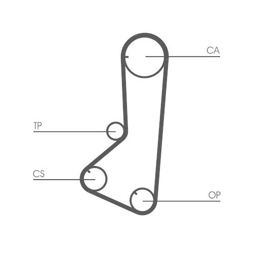 CONTINENTAL CTAM Zahnriemen