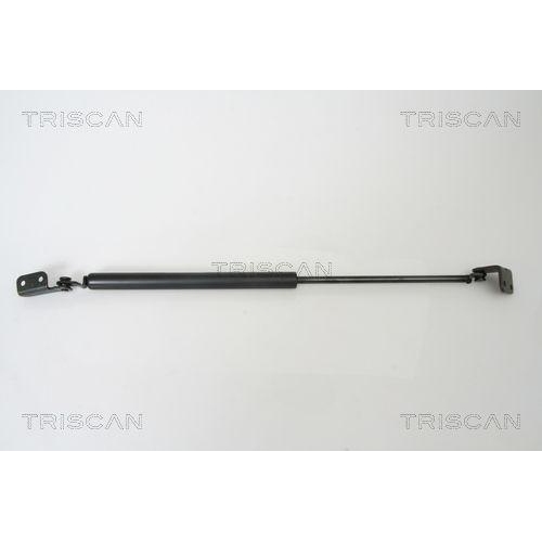 TRISCAN Gasfeder, Koffer-/Laderaum