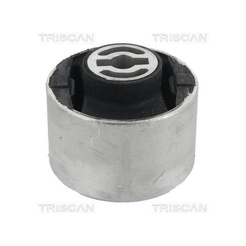 TRISCAN Lagerung, Lenker