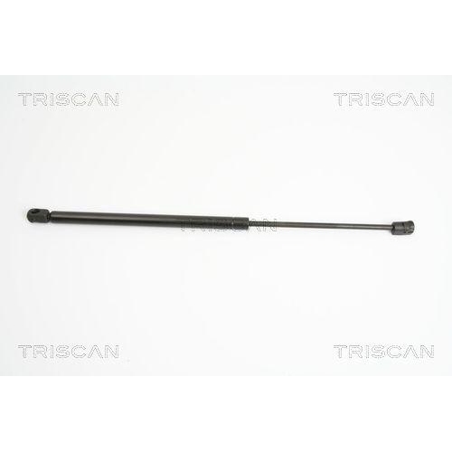 TRISCAN Gasfeder, Koffer-/Laderaum