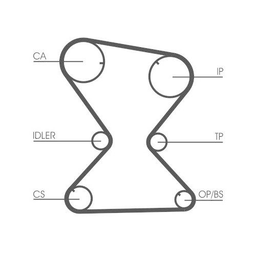 CONTINENTAL CTAM Zahnriemen