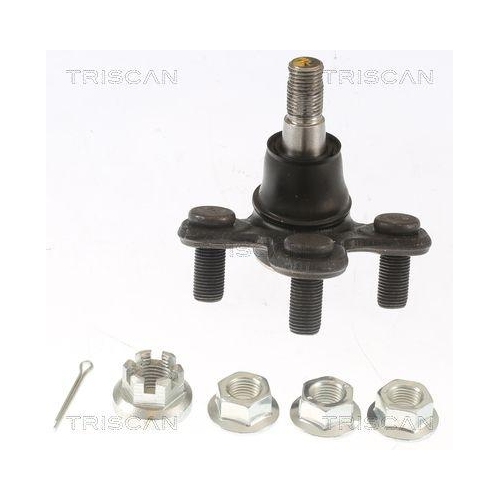TRISCAN Trag-/Führungsgelenk
