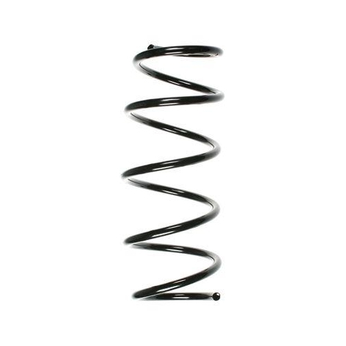 SPIDAN Fahrwerksfeder