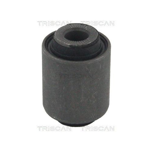 TRISCAN Lagerung, Lenker