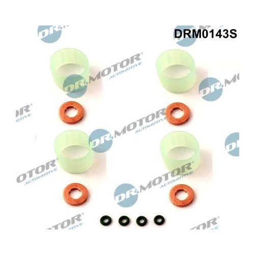 Dr.Motor Automotive Dichtungssatz, Einspritzd&uuml;se