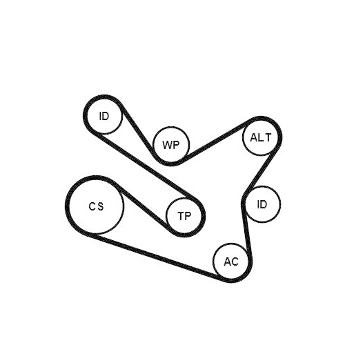 CONTINENTAL CTAM Keilrippenriemensatz