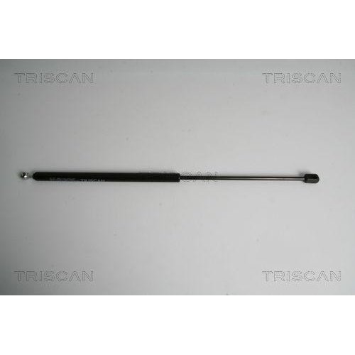 TRISCAN Gasfeder, Koffer-/Laderaum