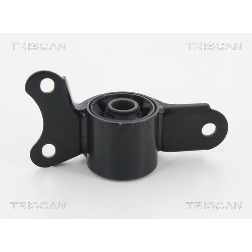TRISCAN Lagerung, Lenker