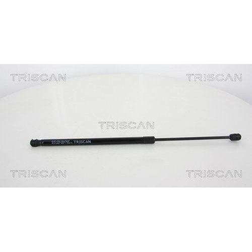 TRISCAN Gasfeder, Koffer-/Laderaum