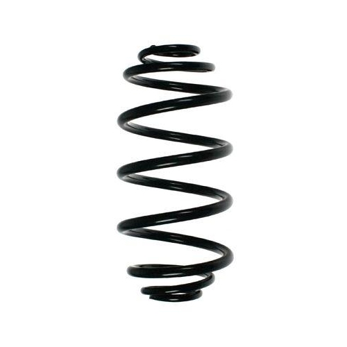 SPIDAN Fahrwerksfeder