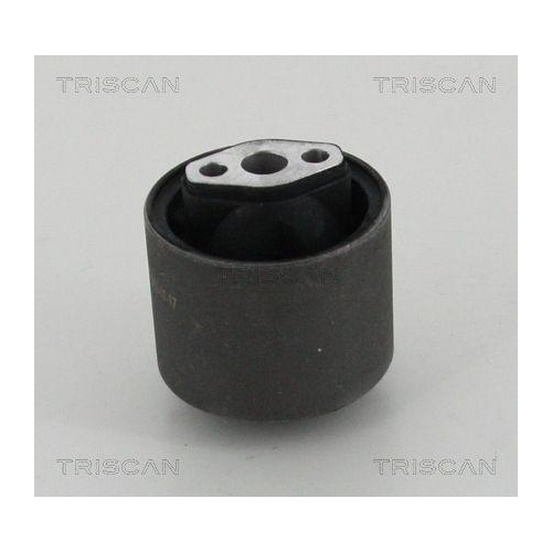 TRISCAN Lagerung, Lenker