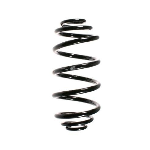 SPIDAN Fahrwerksfeder