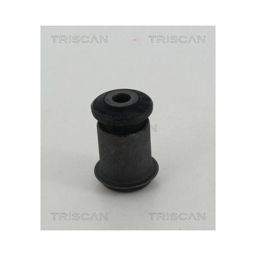 TRISCAN Lagerung, Lenker