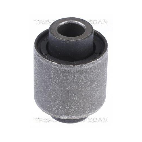 TRISCAN Lagerung, Lenker