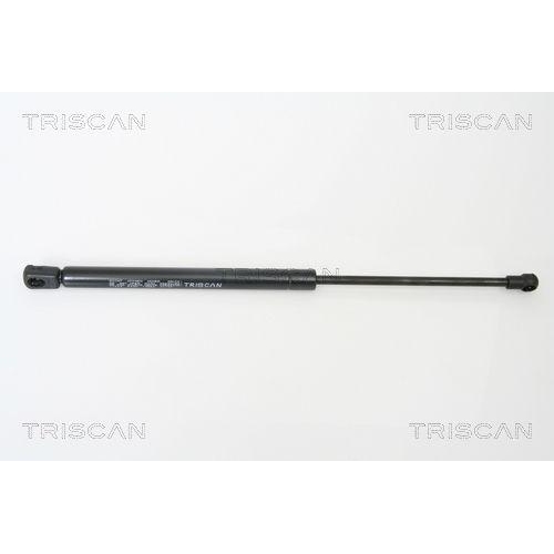TRISCAN Gasfeder, Koffer-/Laderaum