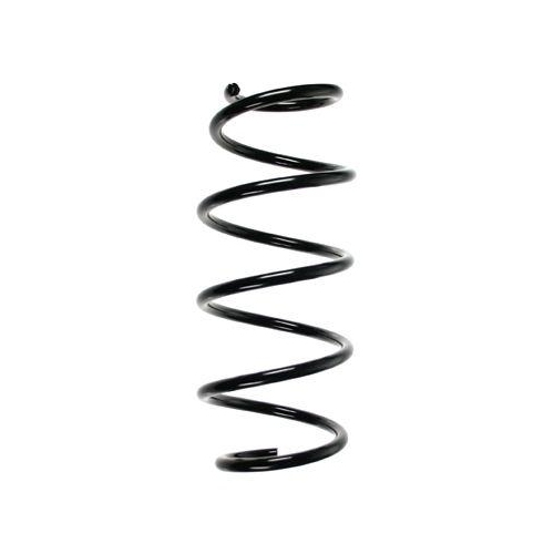 SPIDAN Fahrwerksfeder