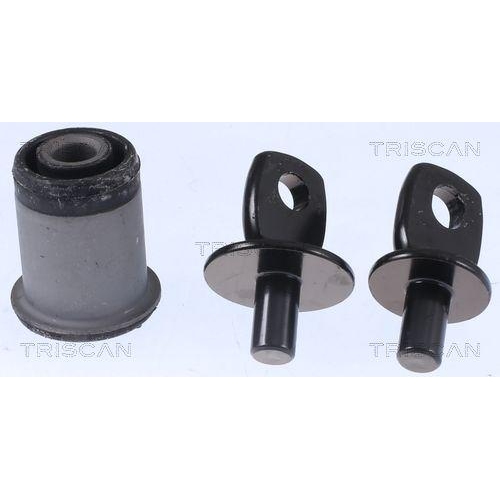 TRISCAN Lagerung, Lenker