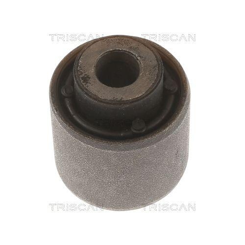 TRISCAN Lagerung, Lenker