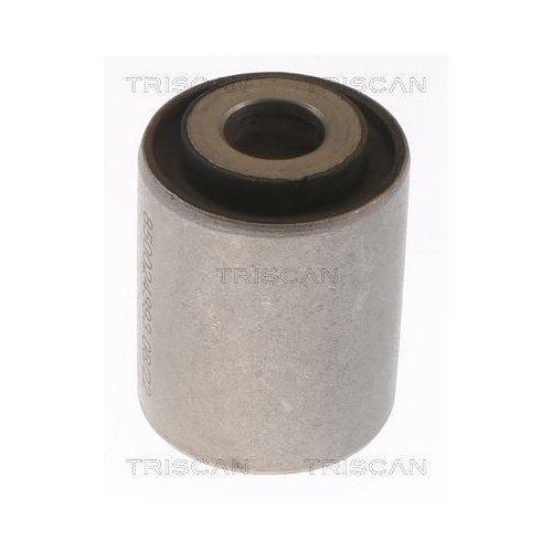 TRISCAN Lagerung, Lenker