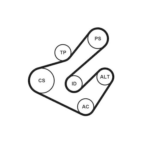 CONTINENTAL CTAM Keilrippenriemensatz