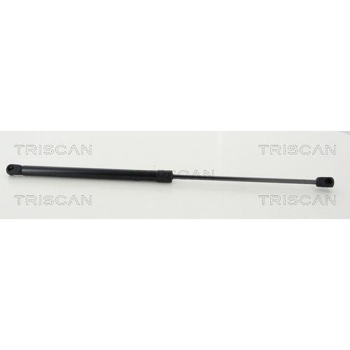 TRISCAN Gasfeder, Koffer-/Laderaum