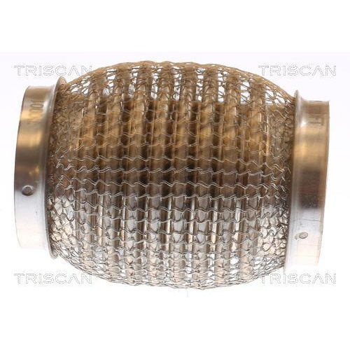 TRISCAN Flexrohr, Abgasanlage