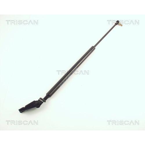 TRISCAN Gasfeder, Koffer-/Laderaum
