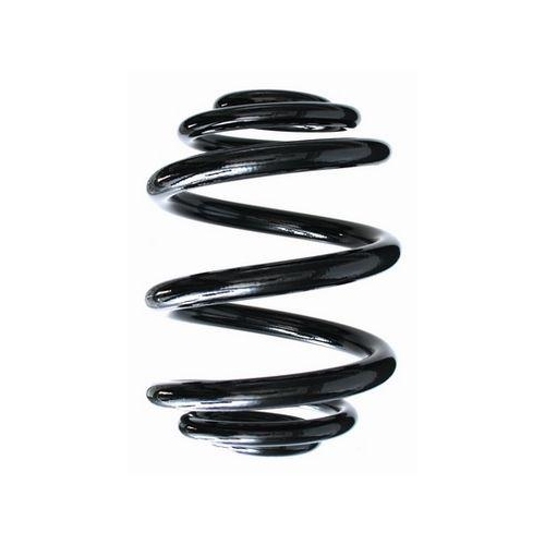 SPIDAN Fahrwerksfeder