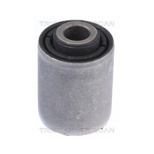 TRISCAN Lagerung, Lenker