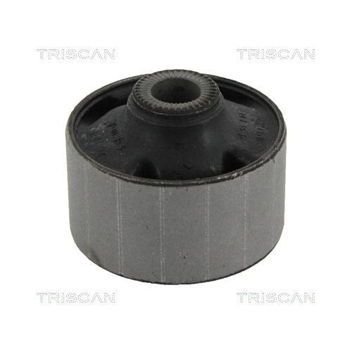 TRISCAN Lagerung, Lenker