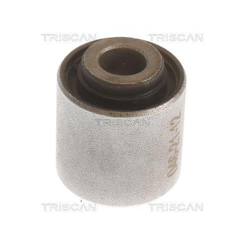 TRISCAN Lagerung, Lenker