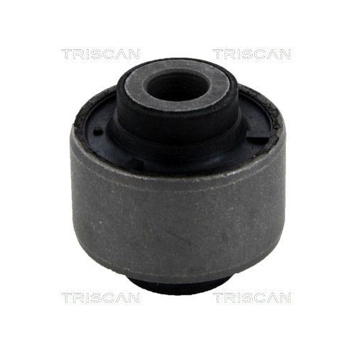 TRISCAN Lagerung, Lenker