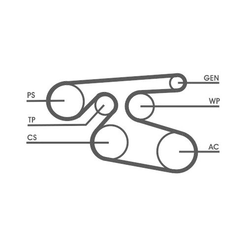 CONTINENTAL CTAM Keilrippenriemen