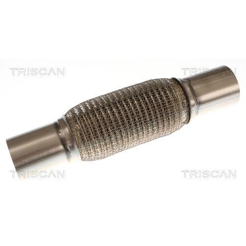 TRISCAN Flexrohr, Abgasanlage