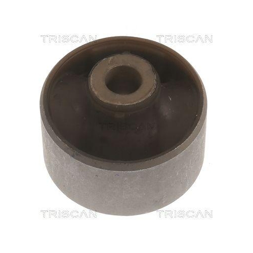 TRISCAN Lagerung, Lenker