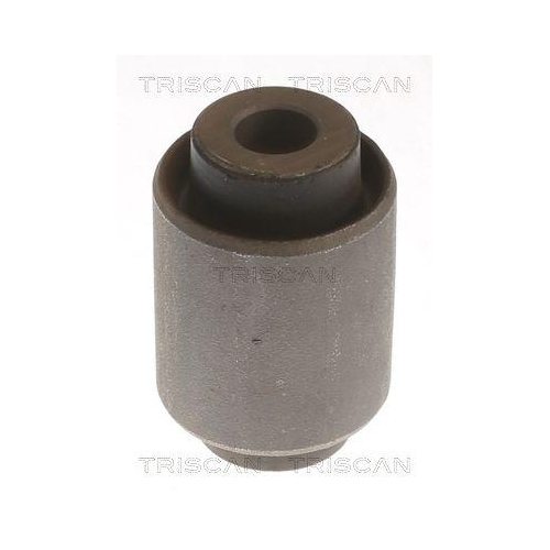 TRISCAN Lagerung, Lenker