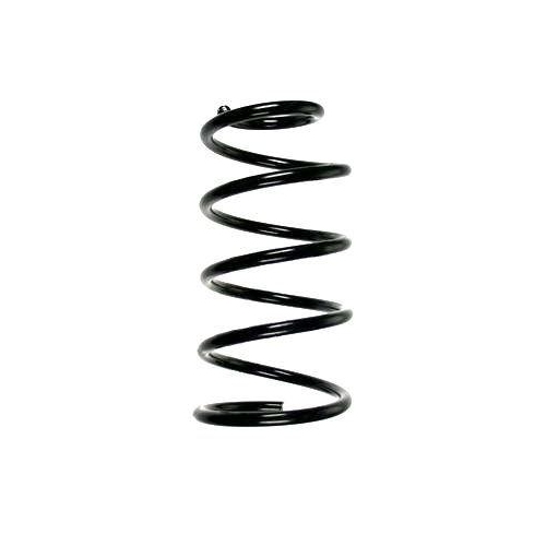 SPIDAN Fahrwerksfeder