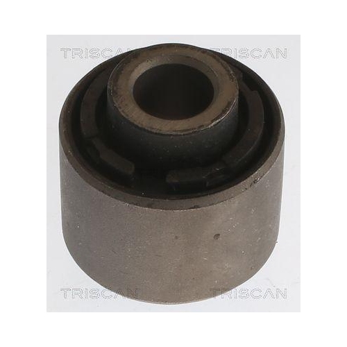 TRISCAN Lagerung, Lenker