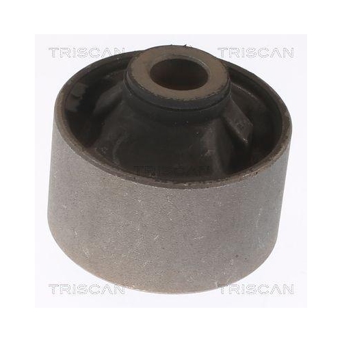 TRISCAN Lagerung, Lenker