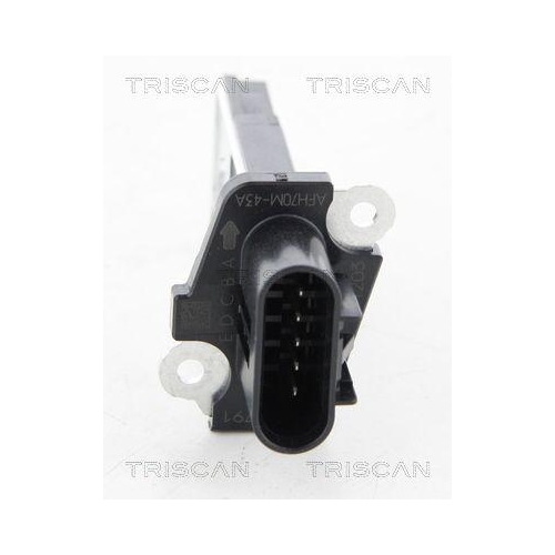 TRISCAN Luftmassenmesser