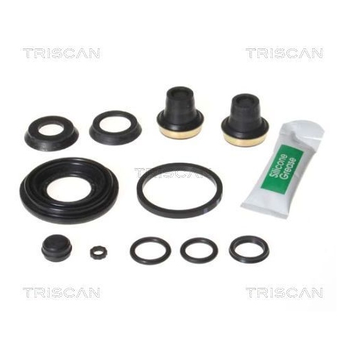 TRISCAN Reparatursatz, Bremssattel