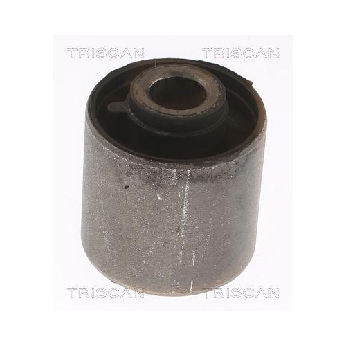 TRISCAN Lagerung, Lenker